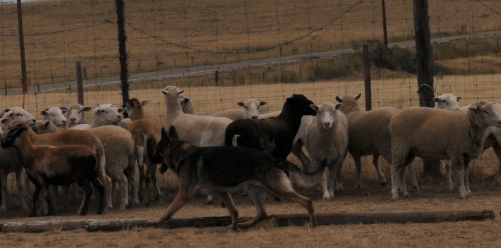 Describe this image for Section 2 (image 2)